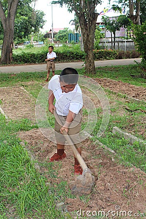 Take seeds to grow. Editorial Stock Photo